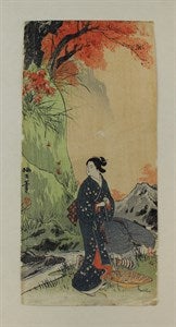 Image description is not available for FIM2015.79